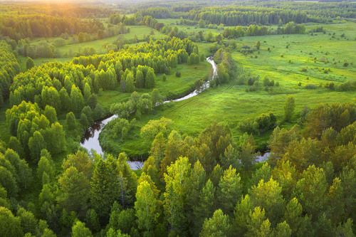 Июньский вечер