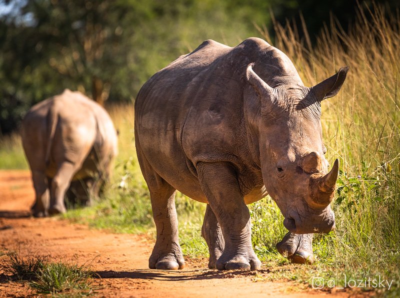 Уганда фото превью