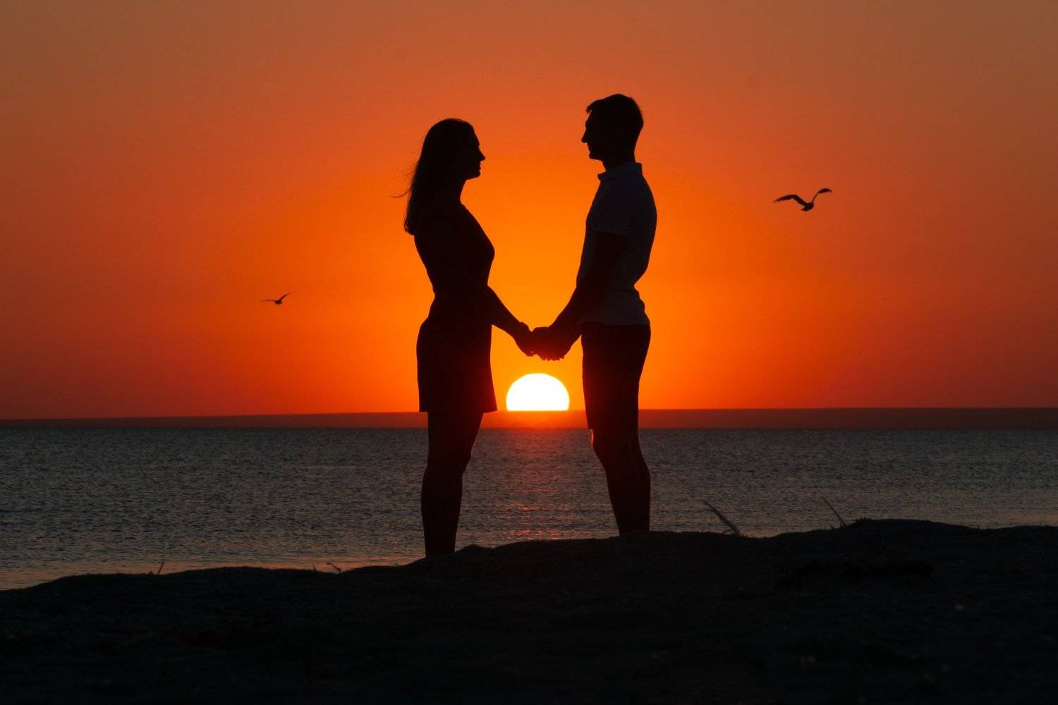 , Андрей Кривцов