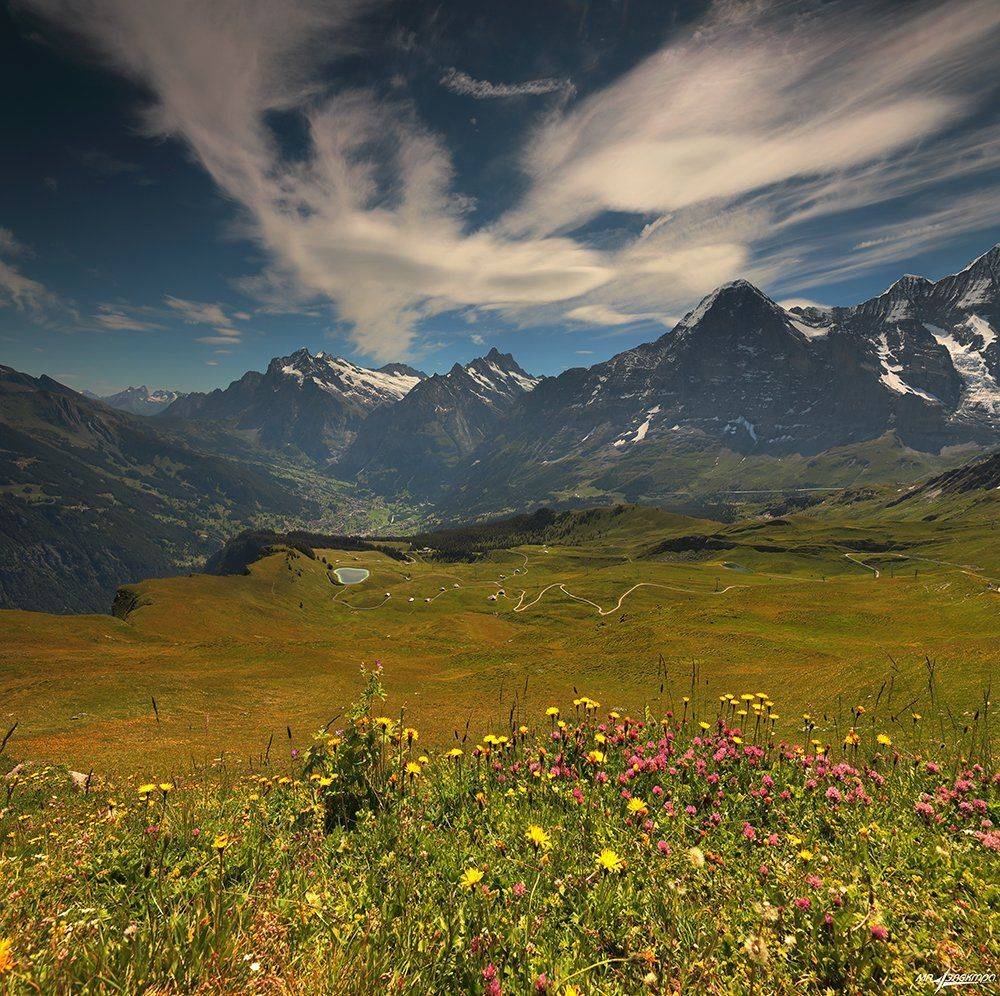 swiss, Матвеев Николай