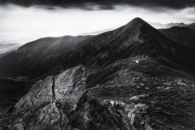 Assimilate фото превью