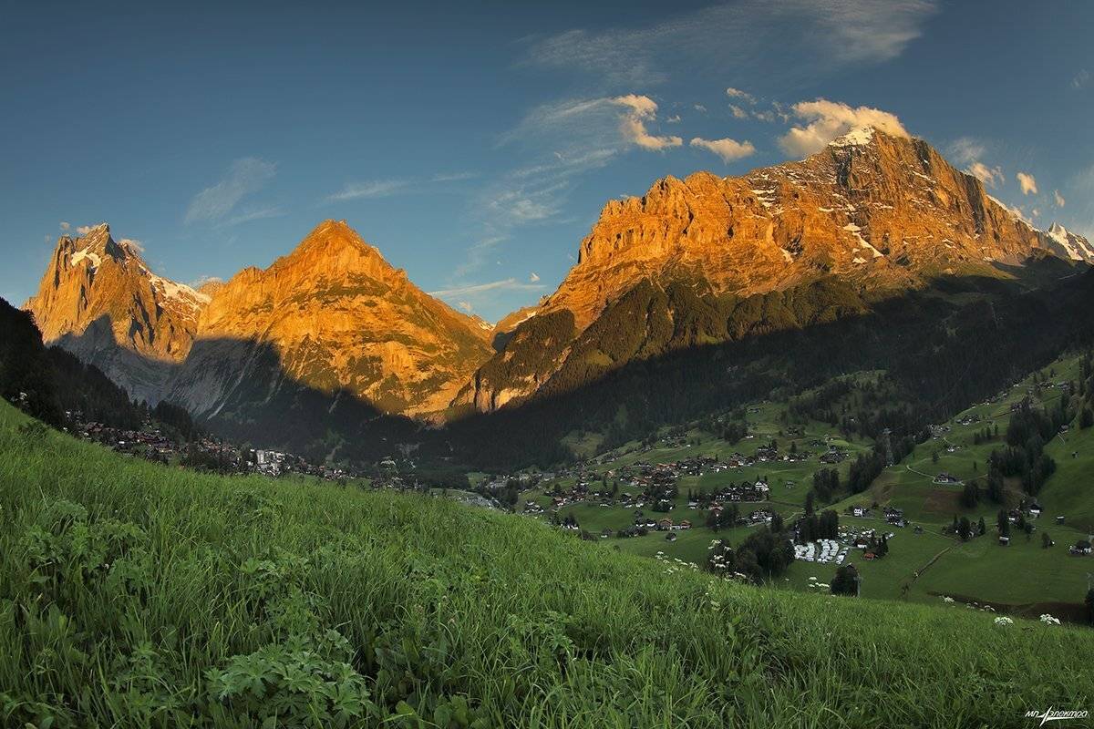 swiss, Матвеев Николай