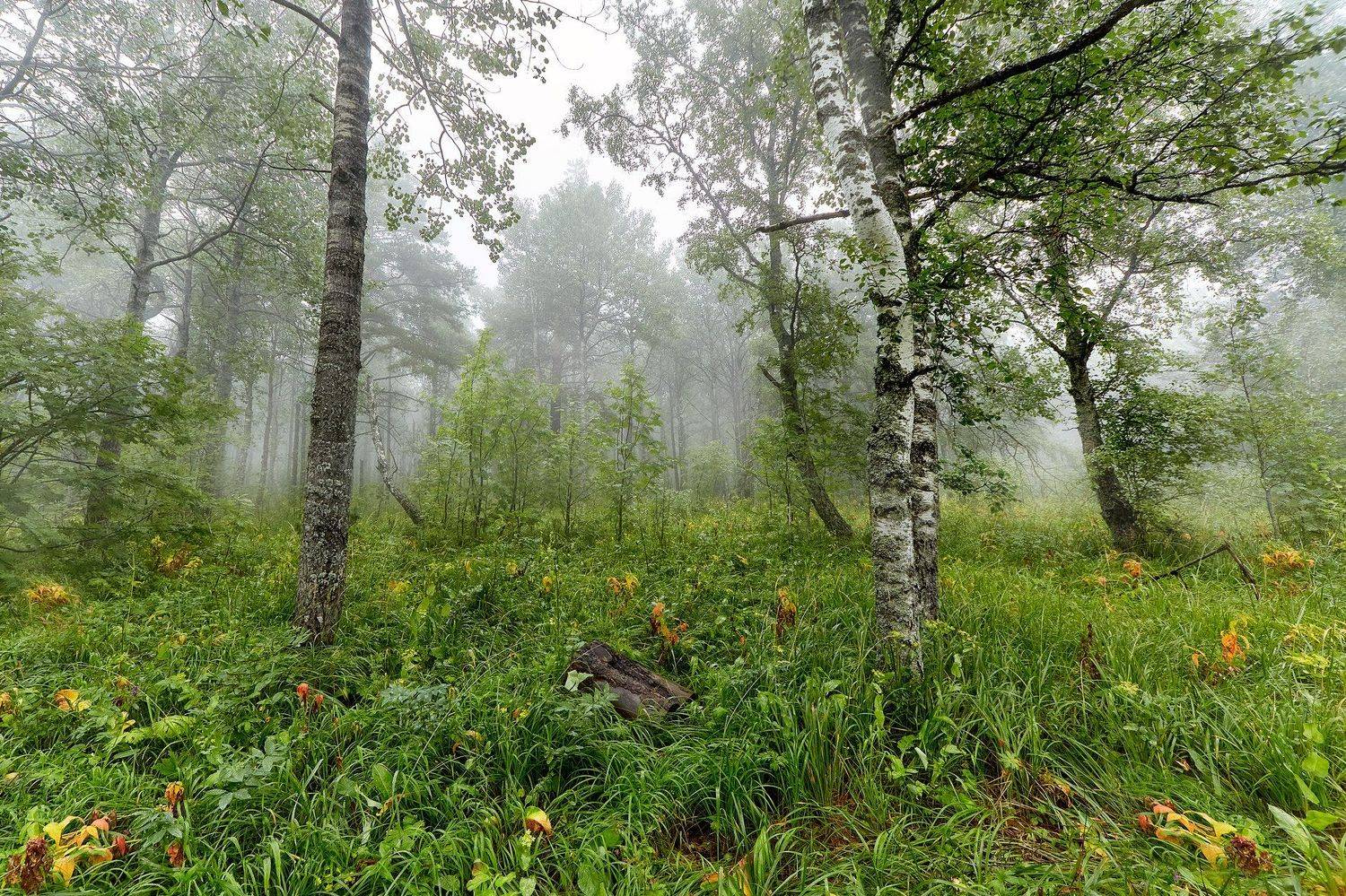 южный урал,оренбургская область, орск, новотроицк,башкирия, башкиртостан, Качурин Алексей