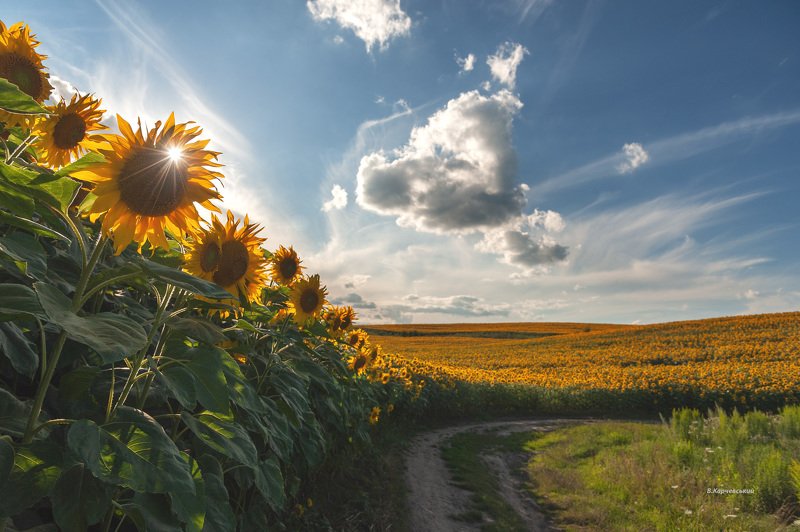 Хорошее настроение фото превью