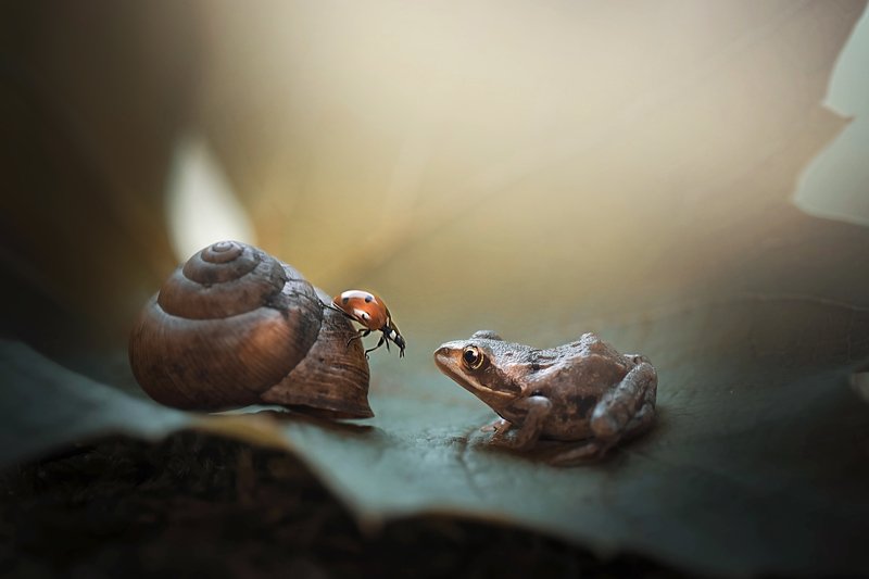 А ты кто такой? фото превью