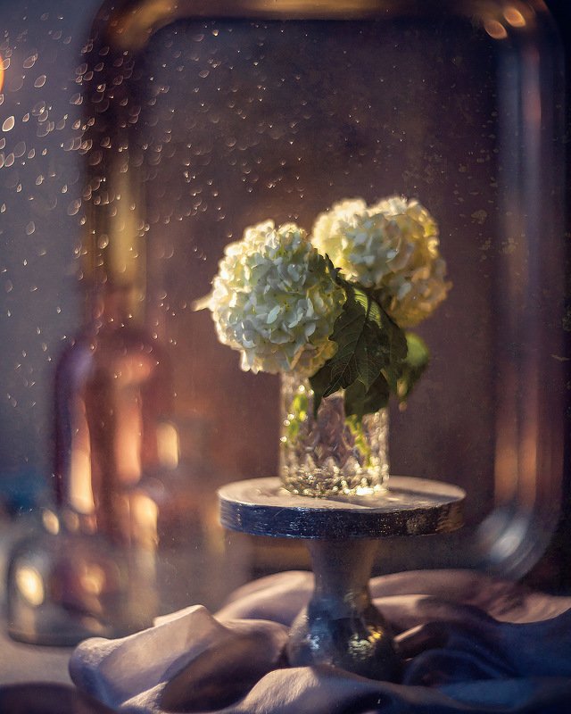натюрморт закат боке гелиос гортензия stilllife bokeh helios Вечернее фото превью