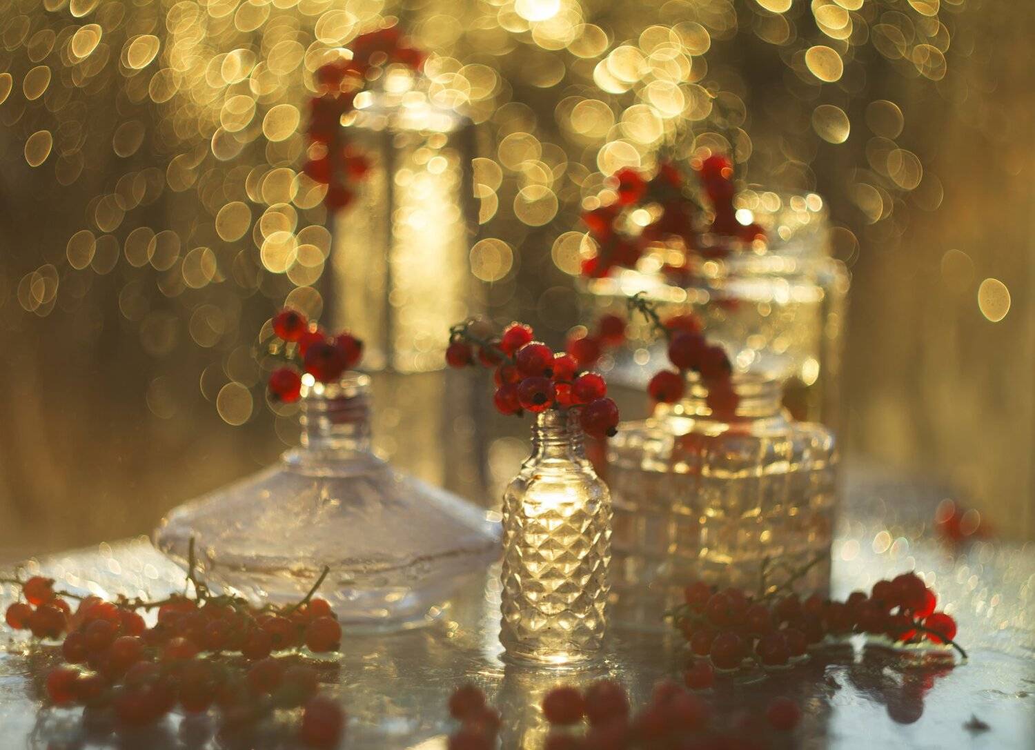 смородина, боке, крупный план, стеклянные баночки, Лионелла Зимина