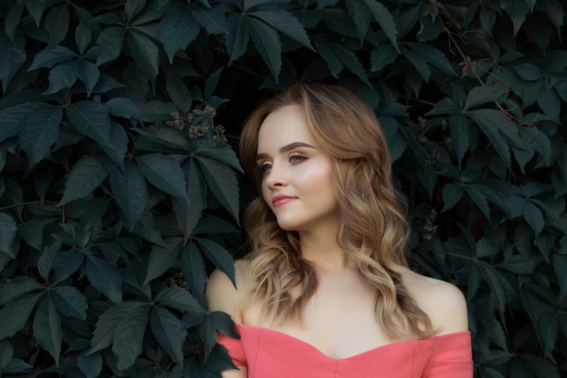 фото превью