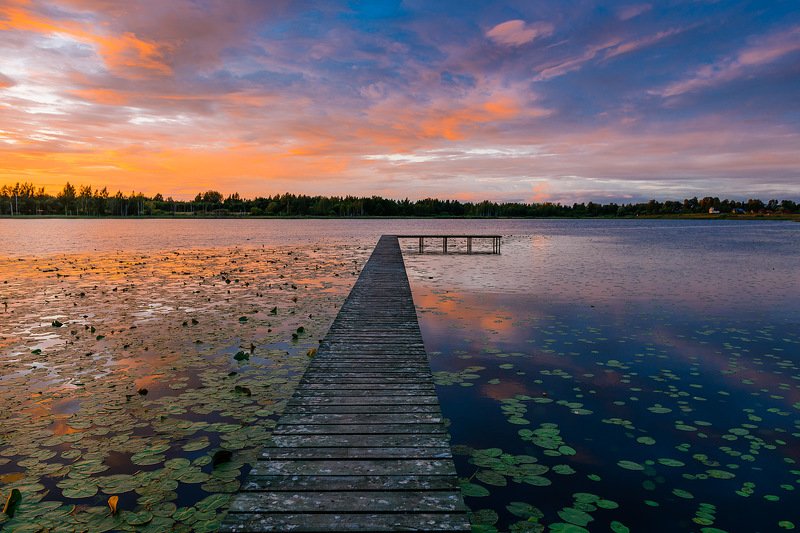 закат, озеро, псков Закат на лесном озере фото превью