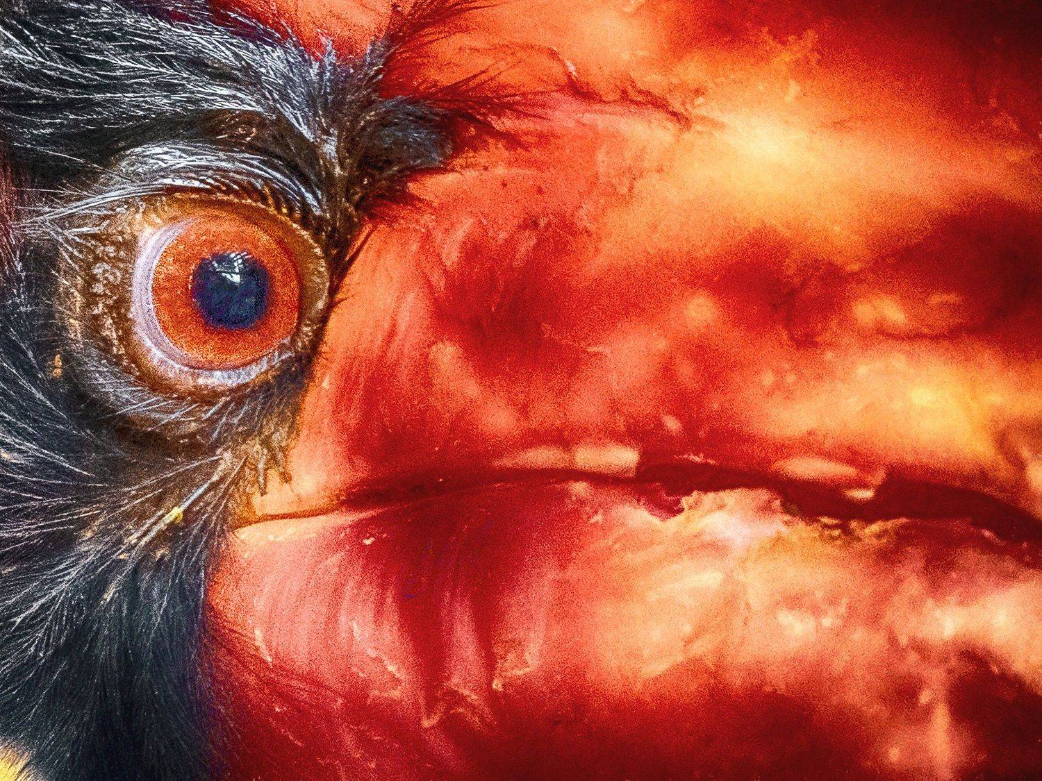 , Андрей Поляков