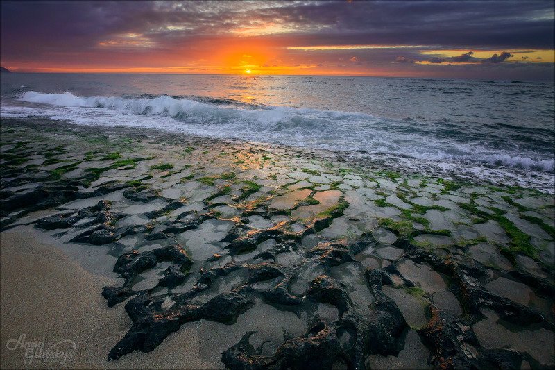гавайи, оаху, остров, морской пейзаж, фототур, пшишылны, океан Черепаший пляж фото превью