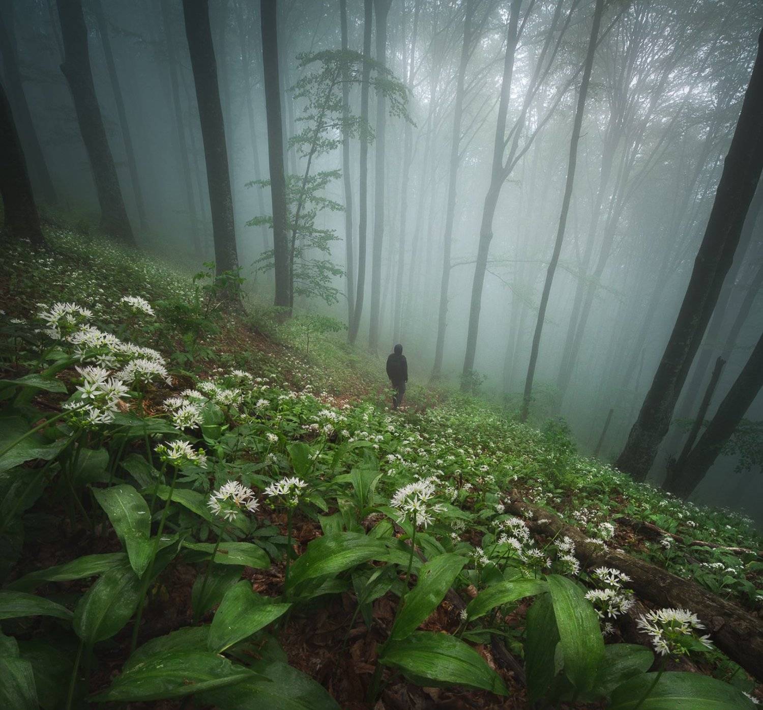 , Калин Панчев