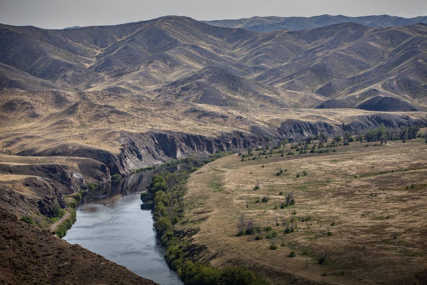 , петр чиков