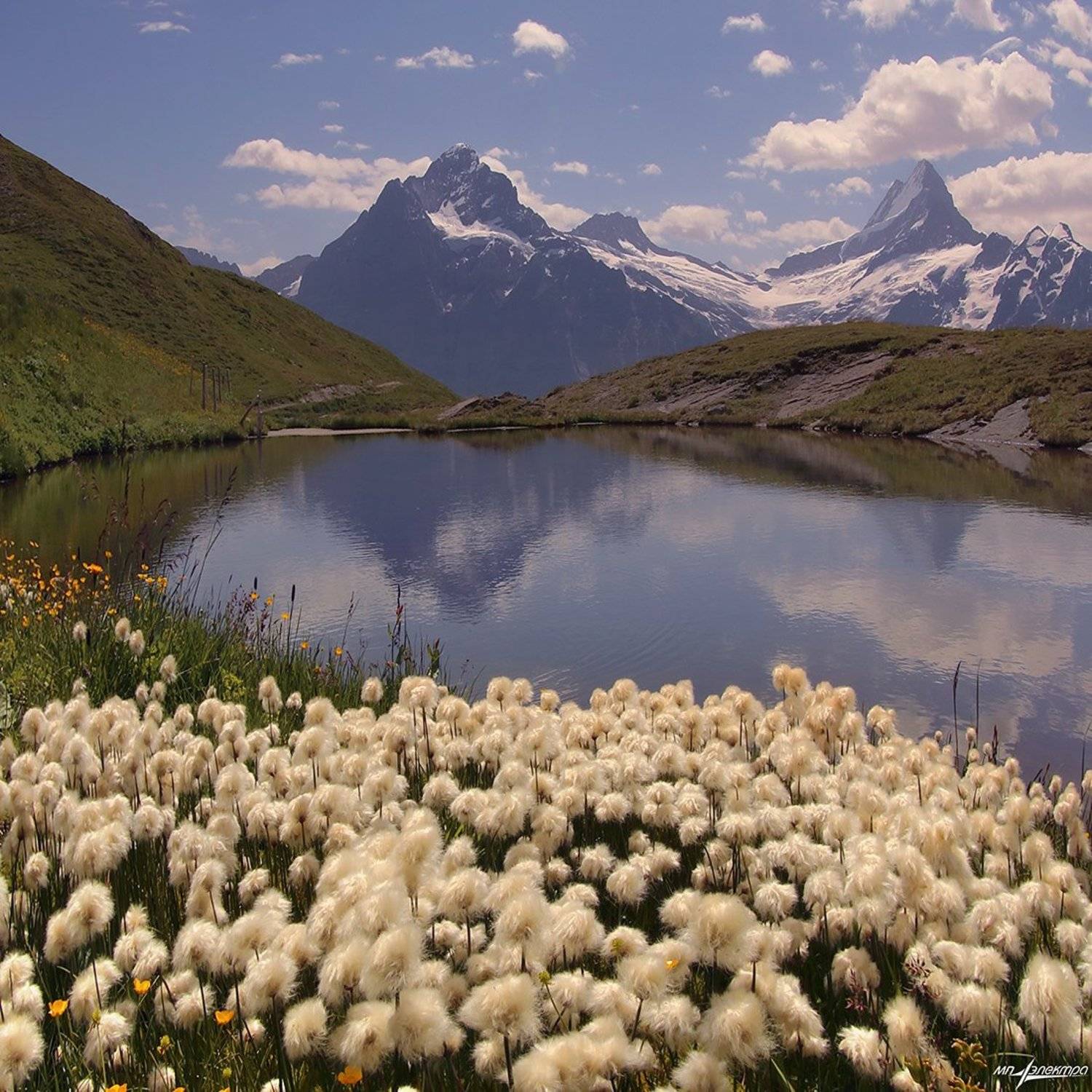 swiss,grindelwald,швейцария, Матвеев Николай