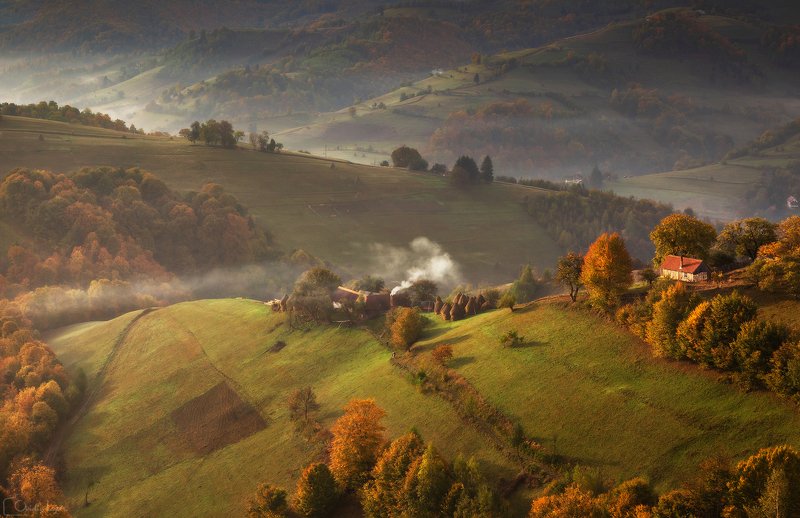 autumn, trees, light, village, landscape, travel, nature, mountain, romania, cold, sunrise Autumn Story фото превью