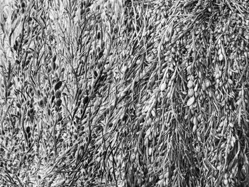 nature The inverted world фото превью