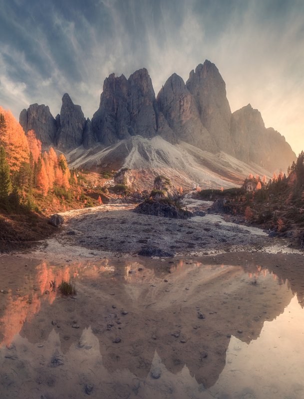 Гейслер фото превью