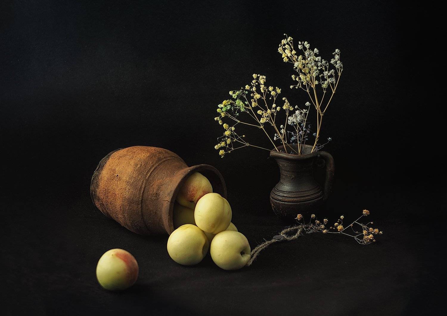 , Марина Брыдня