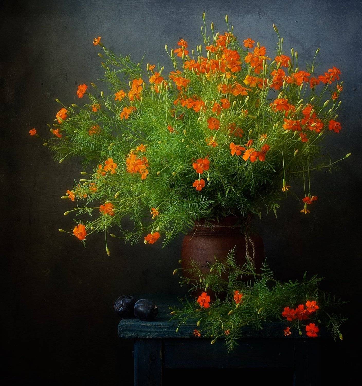 натюрморт,цветы,бархатцы, Наталия К