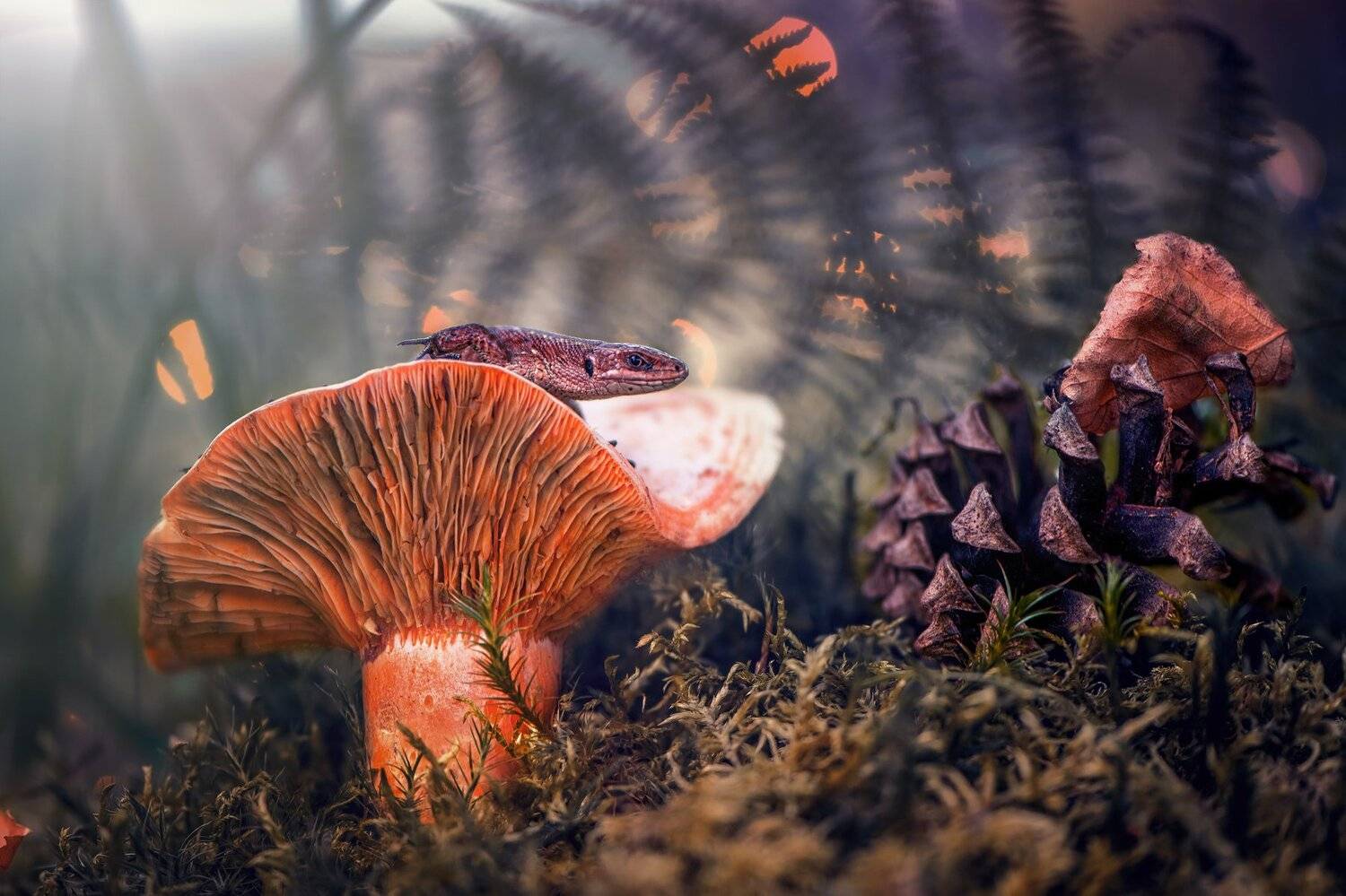 ящерица, макро, лес, гриб, мох, боке, природа, Анастасия Третьякова