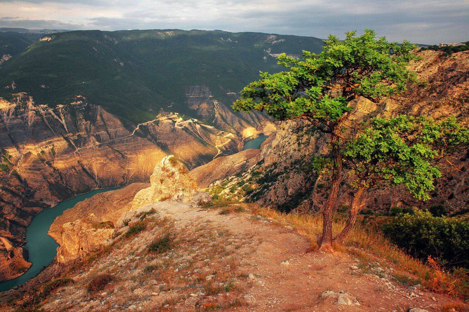 сулак,каньон,река,вода,горы,дагестан., Marat Magov