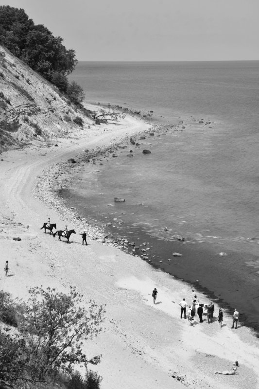 Свадьба и кони фото превью