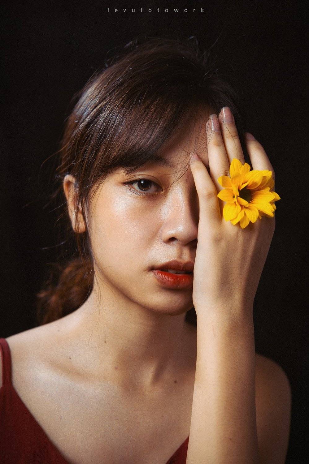 , L&ecirc; Nguyễn Vũ