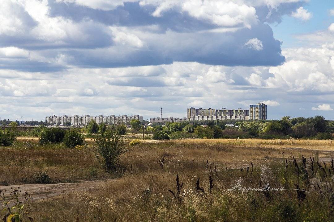 , Андрей Ляпин