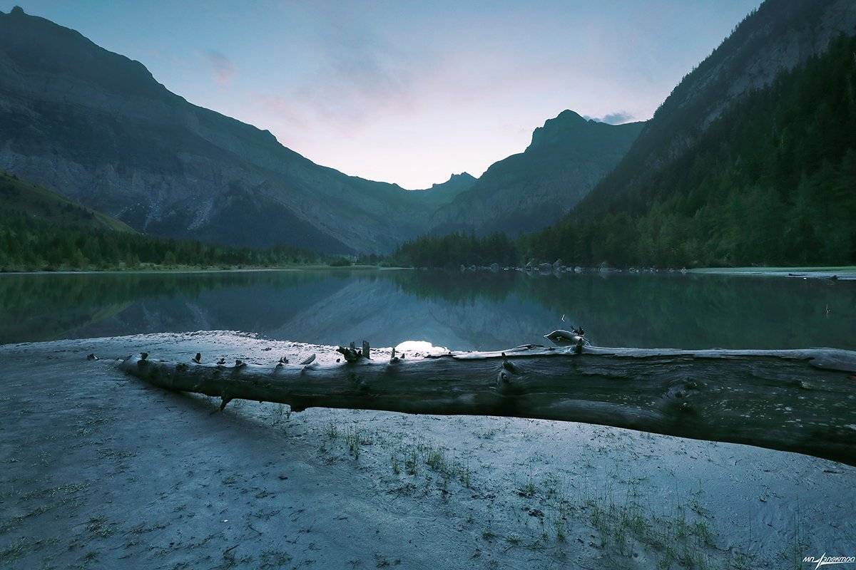 swiss, Матвеев Николай