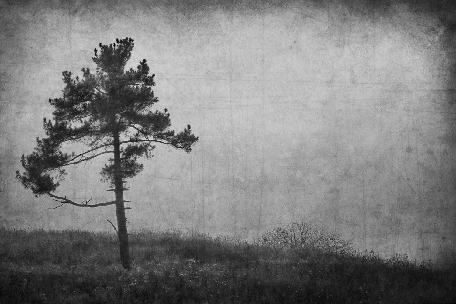 , Гагик Мхитарян