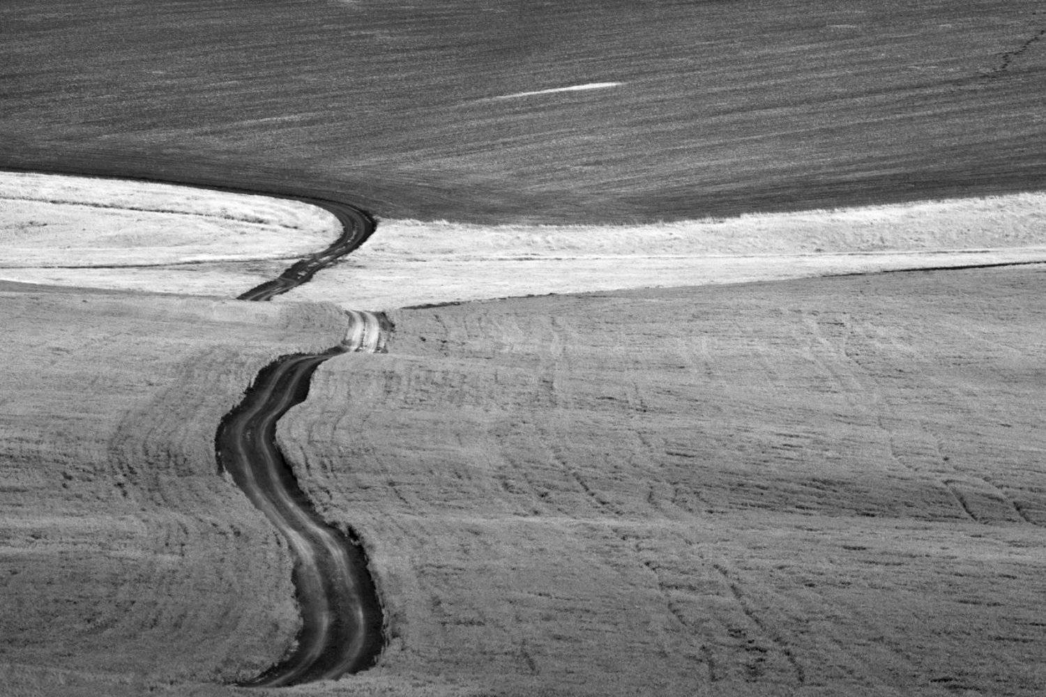 , Роман Рыжков