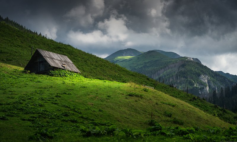 #landscape #panoramic #photo #nikon  #adventure #mountains #outdoors #nature #forest #grass #light #storm Tatra Valley фото превью