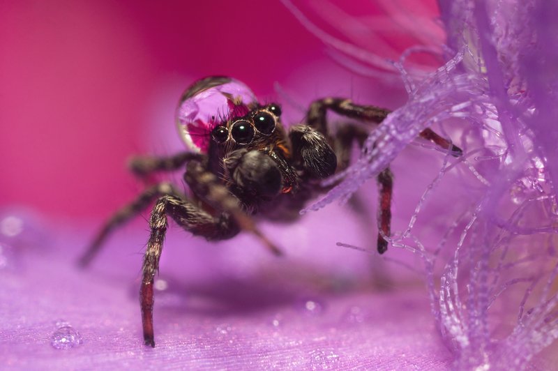 В цветастой шапочке фото превью