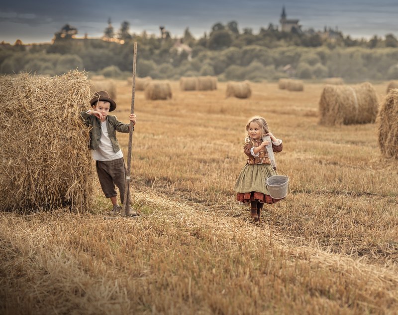 Сенокос фото превью