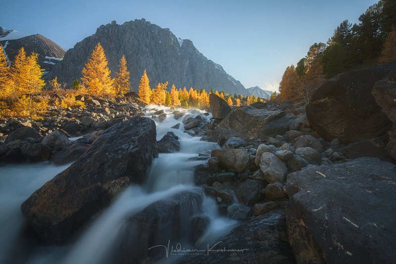 Золото Актру фото превью