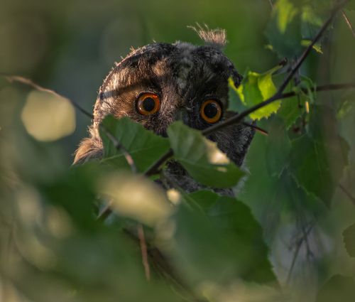 страшно то как!