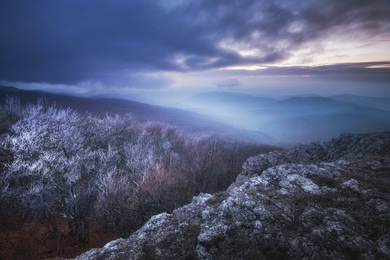 , Алексей Агеев