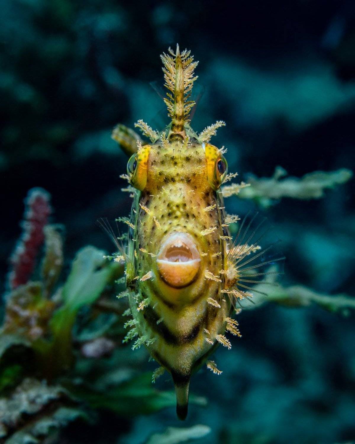 , Андрей Савин