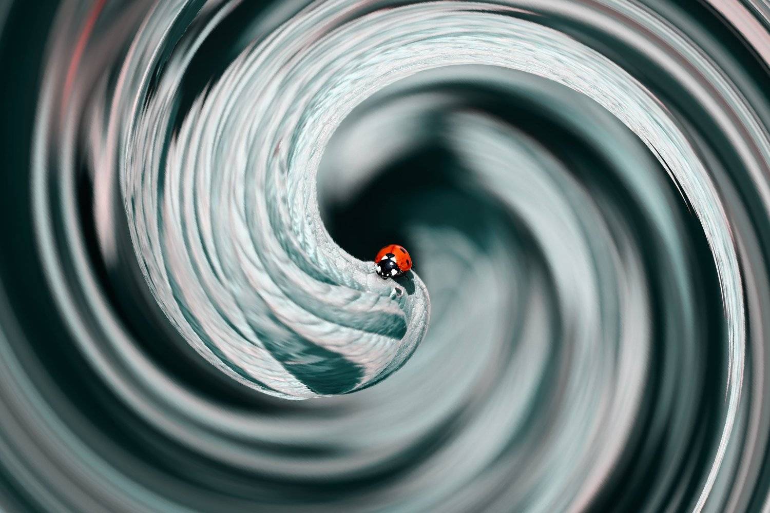 креатив, обработка, концепция, портал, concept, fineart, teleportations, portal, arrival, guest, гость, прибытие, телепортация, портал, creative, Дмитрий Салтыков