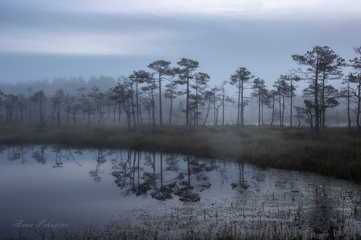 , Анна Пакутина