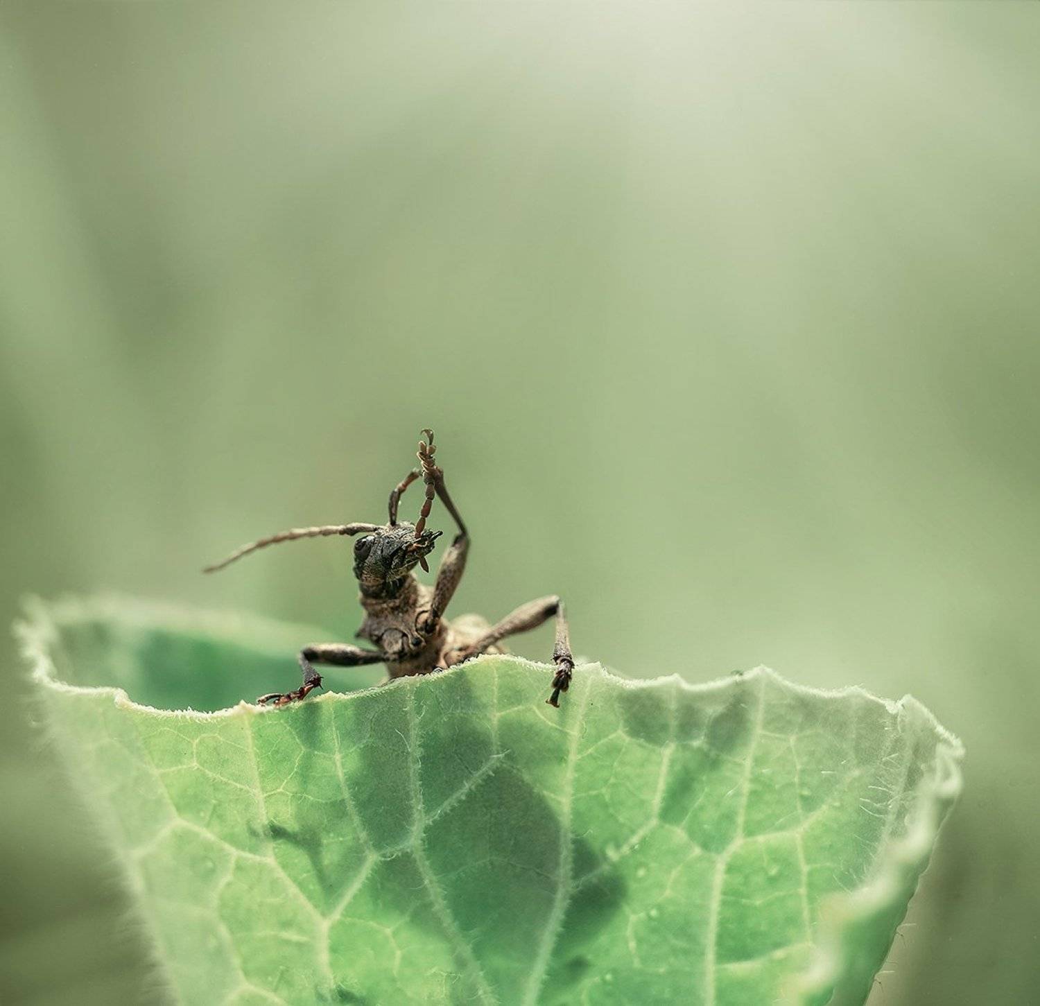 , Тарасова Ольга