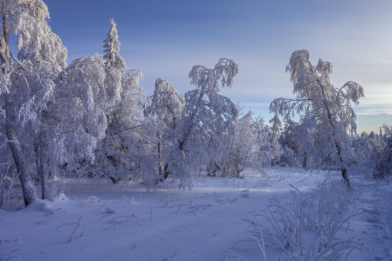 , Андрей Шарапов
