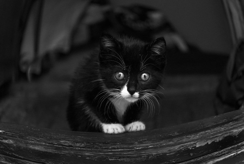 black/white