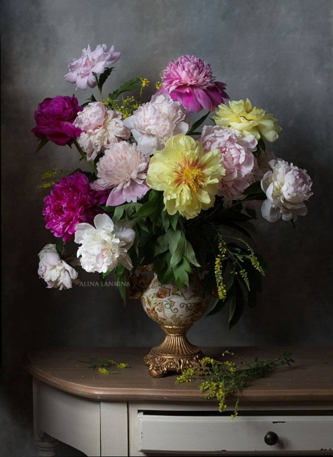 натюрморт, цветы, пионы, арт, алина ланкина, художественный натюрморт, натюрморт с цветами, лето, свет, Алина Ланкина