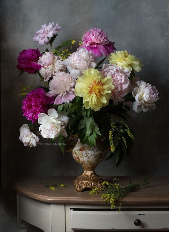 натюрморт, цветы, пионы, арт, алина ланкина, художественный натюрморт, натюрморт с цветами, лето, свет *** фото превью