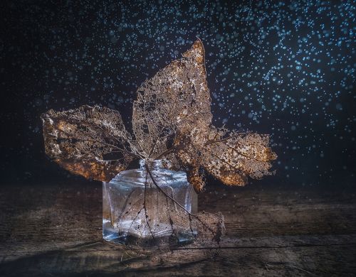 Осеннее напоминание