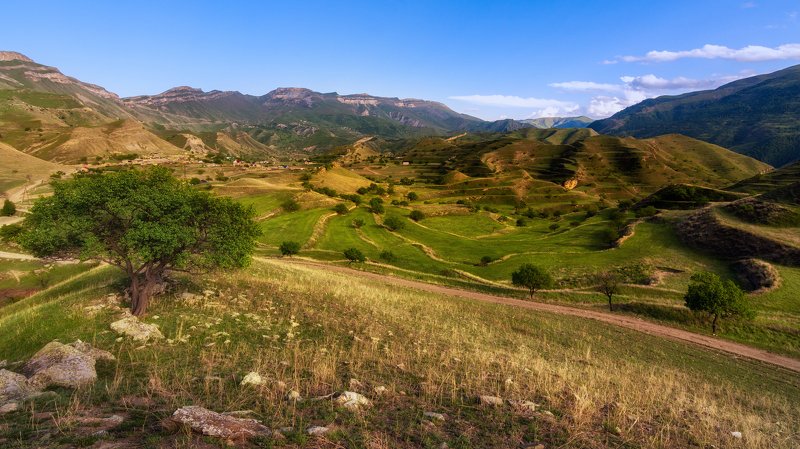 Там, где родилось террасное земледелие фото превью