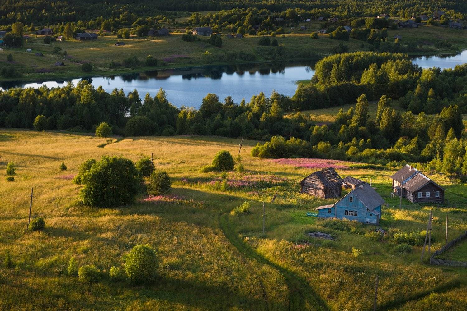 , Роман Фабричный