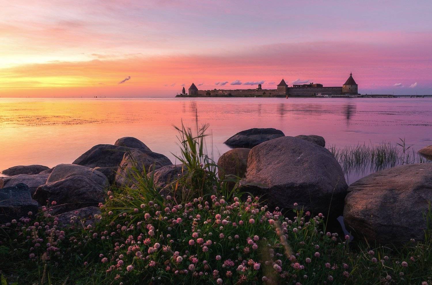ленинградская область, ленобласть, Александр Писарев