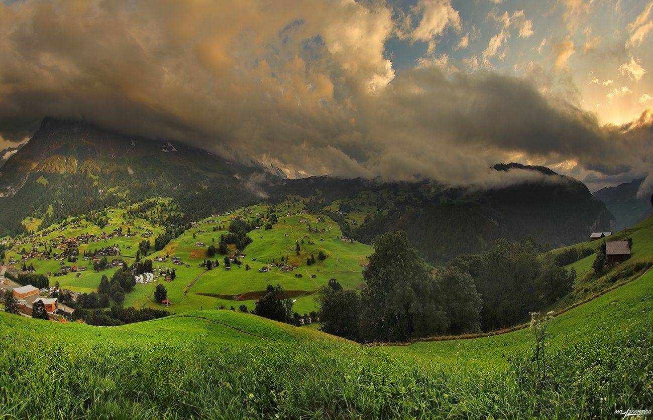 swiss, Матвеев Николай